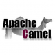 Apache Camel Training in Slovakia