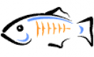 GlassFish Training in Slovakia