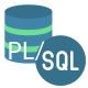 Category for Oracle PL/SQL Training in Slovakia