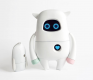 Smart Robots Training in Slovakia